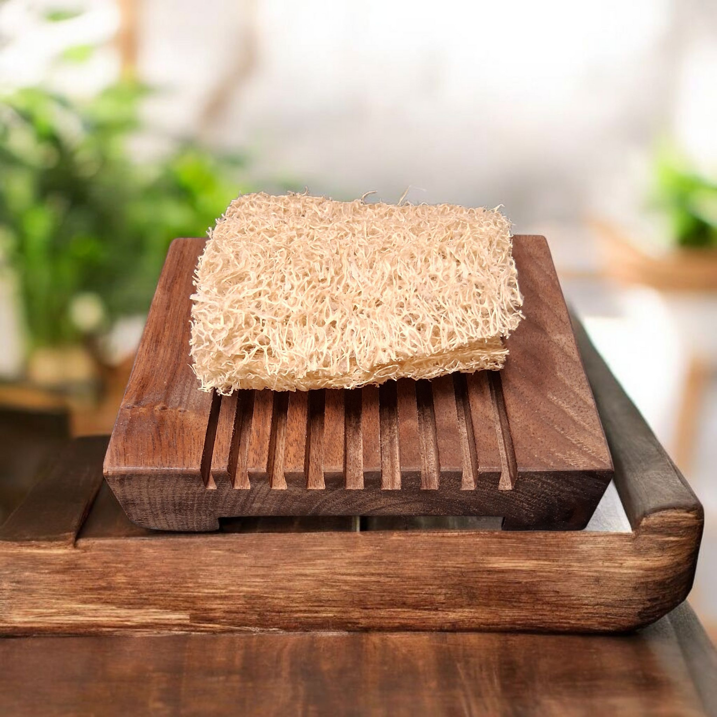 Black Walnut & Luffa Soap Dish